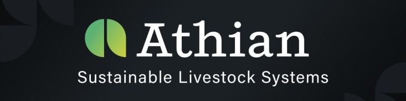 This is the logo graphic for Athian.